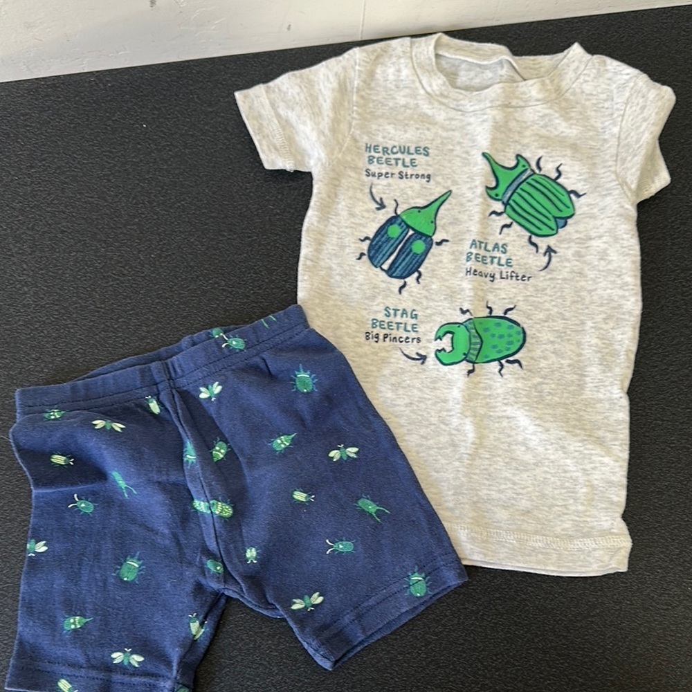 Carter's Gray and Blue Pajama Set Cozy Sleepwear